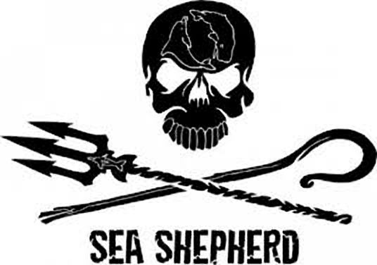 Link a Sea Shepherd